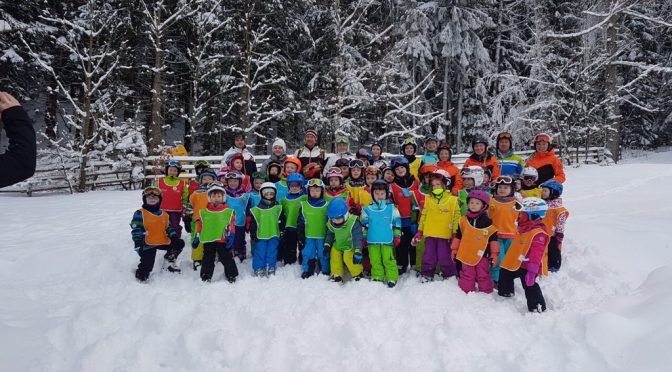 43 Zwergerl erlernen das Skifahren